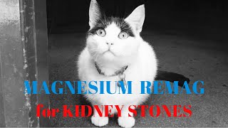 Magnesium Remag For Kidney Stones