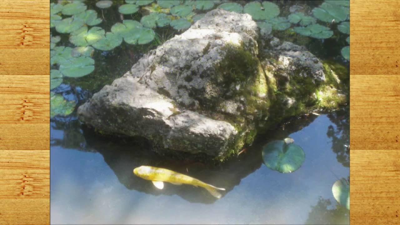 Niemann: Dance of the Geisha (Markus Staab, piano)