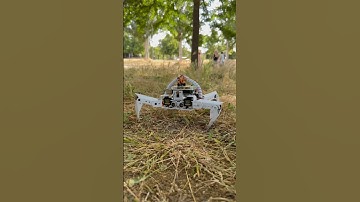 No Matter the Terrain - PiCrawler ​@Sunfounder_official #robotics #robots #raspberry #tec