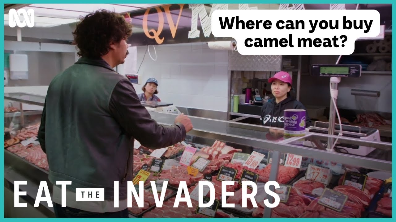 Would you try camel meat? | Eat The Invaders | ABC iview