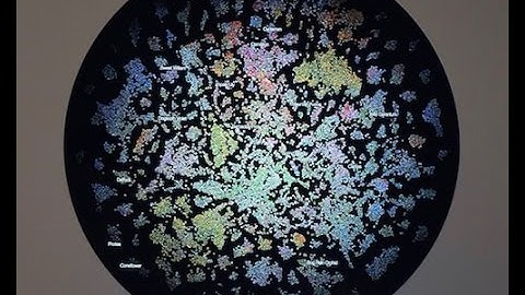 hananona : fine-grained flower recognition (short version)