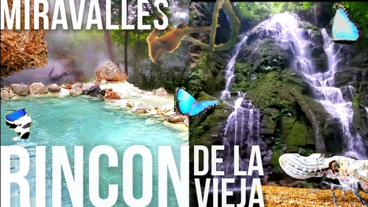 Rincon de la Vieja & Miravalles | Costa Rica Dreaming - Day 4