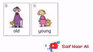 Vocabulary Sunrise 3 Unit 4 وشەکانی پۆلی سێیەم یونت چوار