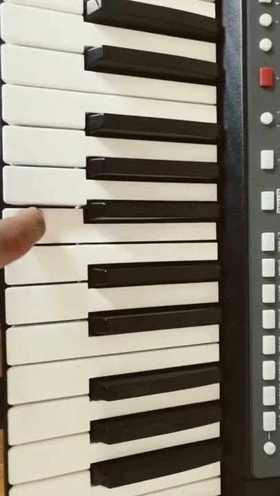 Pablo y Silas (melodía)🎶