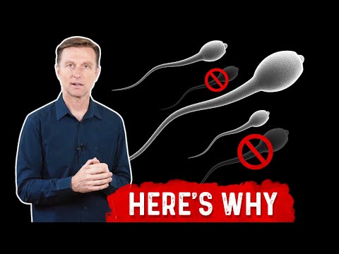 Why Sperm Count Have Dropped by 60 Percent!