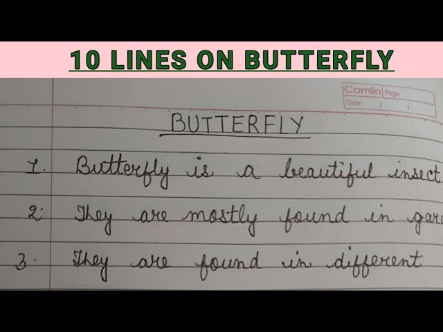 short note on butterfly