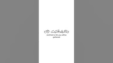 كروما شاشة بيضاء قرآن كريم 🌿تلاوة من سورة الأنفال 🌿القارئ يوسف العيدروس 🌿