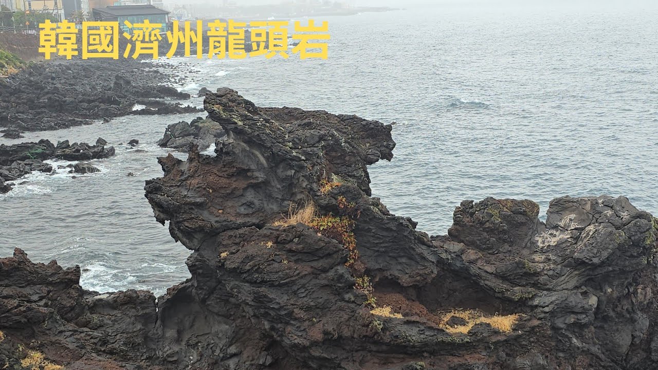柴肥貓韓國濟州龍頭岩