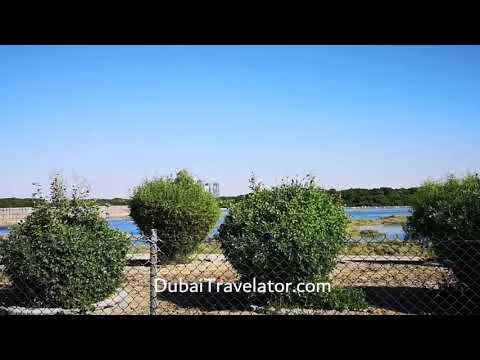 Ras Al Khor wildlife sanctuary Dubai