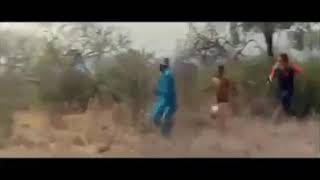 Video lucu orang afrika