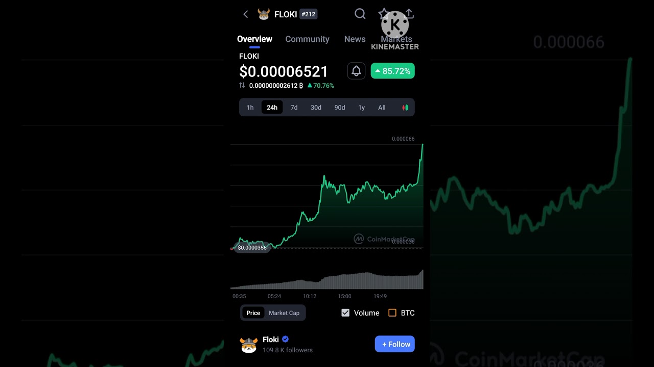 FLOKI INU massive pump over 86% 