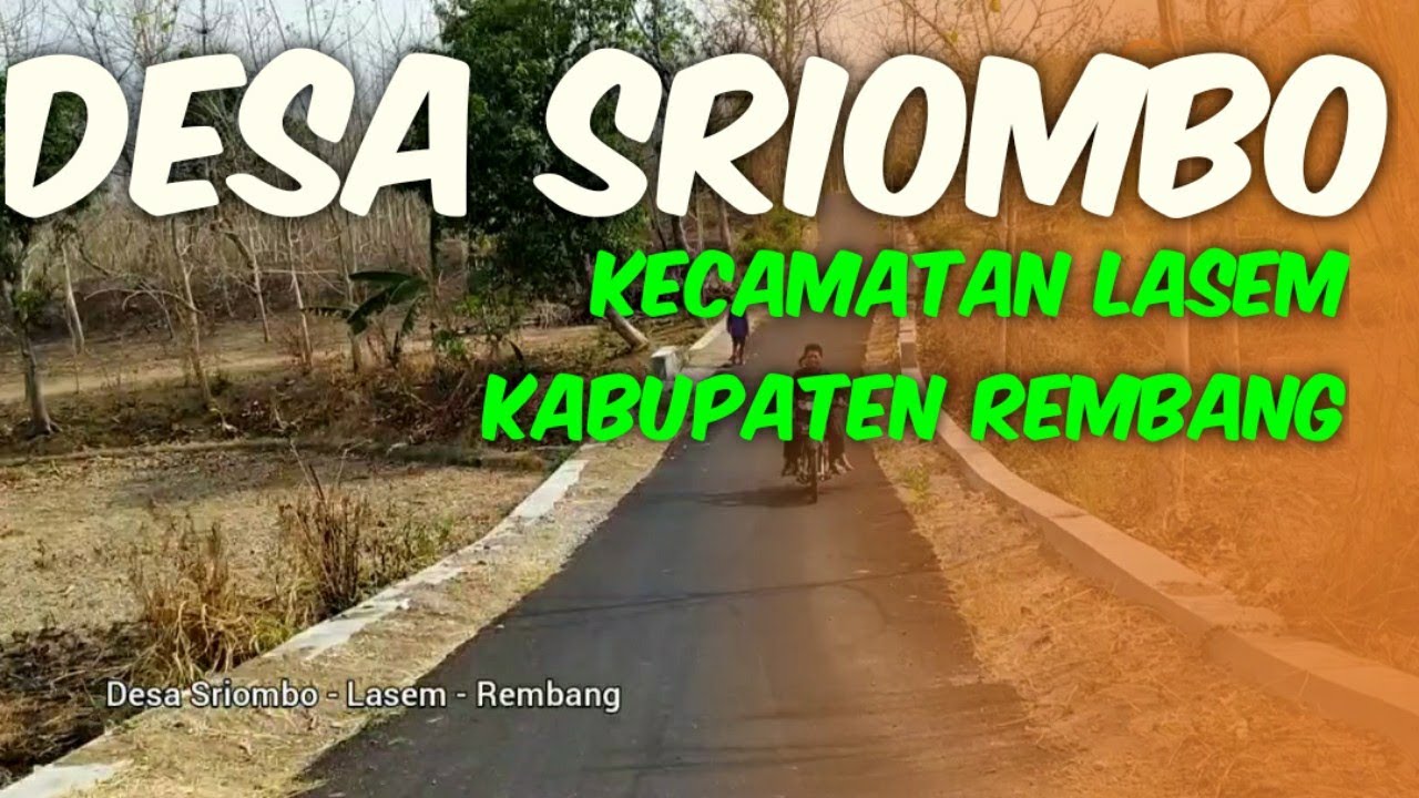 Suasana Jalan Desa Sriombo Kecamatan Lasem - Rembang TV