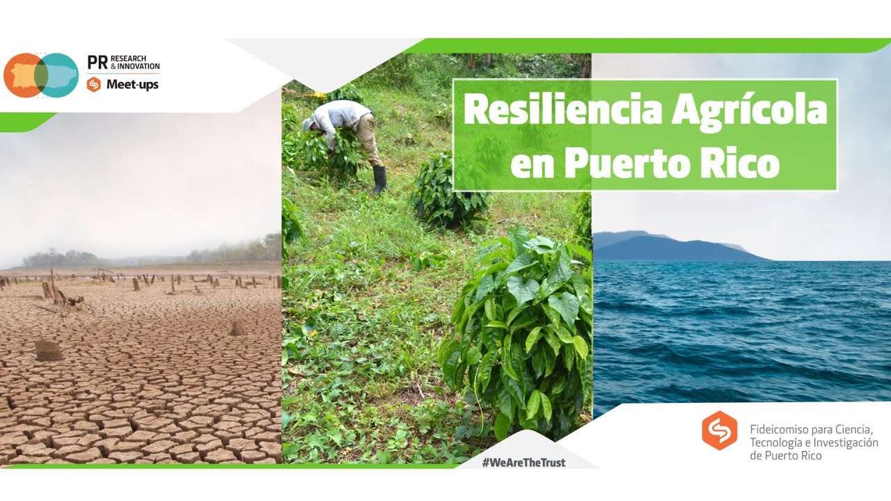 Sostenibilidad Agrícola Ante el Cambio Climático y el Aumento del Nivel del Mar