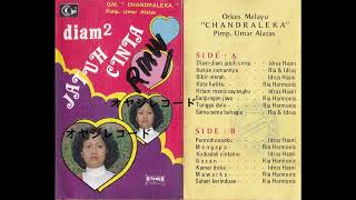 Diam-diam Jatuh Cinta / O.M.Candraleka (Original Full)