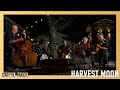 Harvest Moon Neil Young Cover Live From The Firepit Caryl Mack