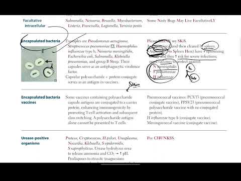 USMLE Step 1