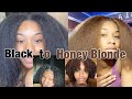 Dying my natural hair honey blonde without bleach  hicolor