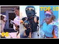 😆TOP-10 Most funny animals videos of the week Сats, dogs & other: try not to laugh (Compilation #6)