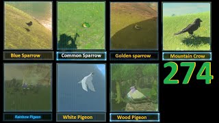Zelda Botw - Birds Sparrow, Pigeons, Mountain Crow (Hyrule Compendiuml, location).