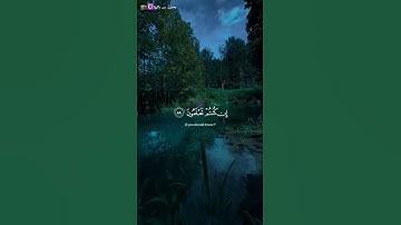 ايات من القران الكريم