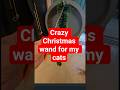 Christmas Wand drives my cats crazy