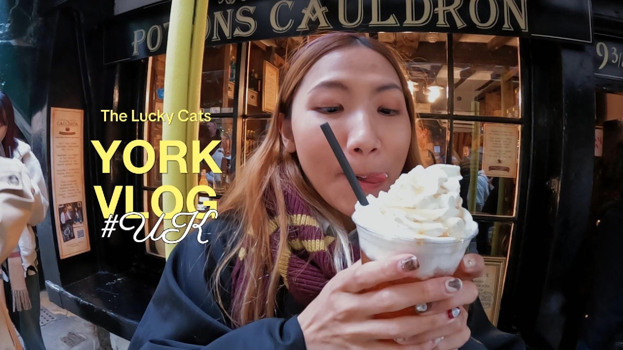 York และเหล่าแมวซนพวกนั้น 🐈🐈‍⬛😹