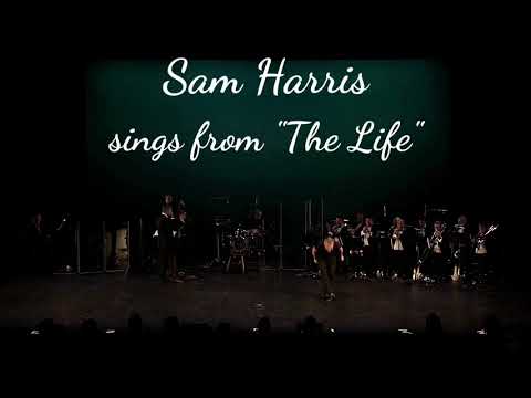Use What You Got – Sam Harris & The Fred Barton Broadway Band