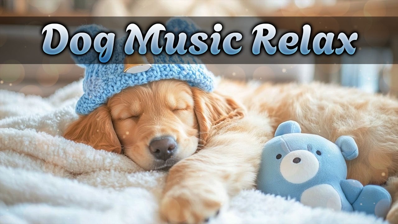 Ночная музыка дляa собак (12 часов) 💤 Мягкие звуки для спокойного сна | NO ADS