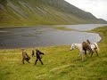 Red stag hunting scotland