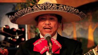 Serenata Huasteca, intérprete Mariachi Samurai