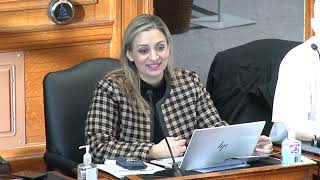 Standing Committee on Municipal and Legislative Operations 03/17/2026