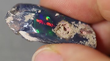 Australian LIGHTNING RIDGE FOSSIL SOLID OPAL ROUGH POLISHED 21ct