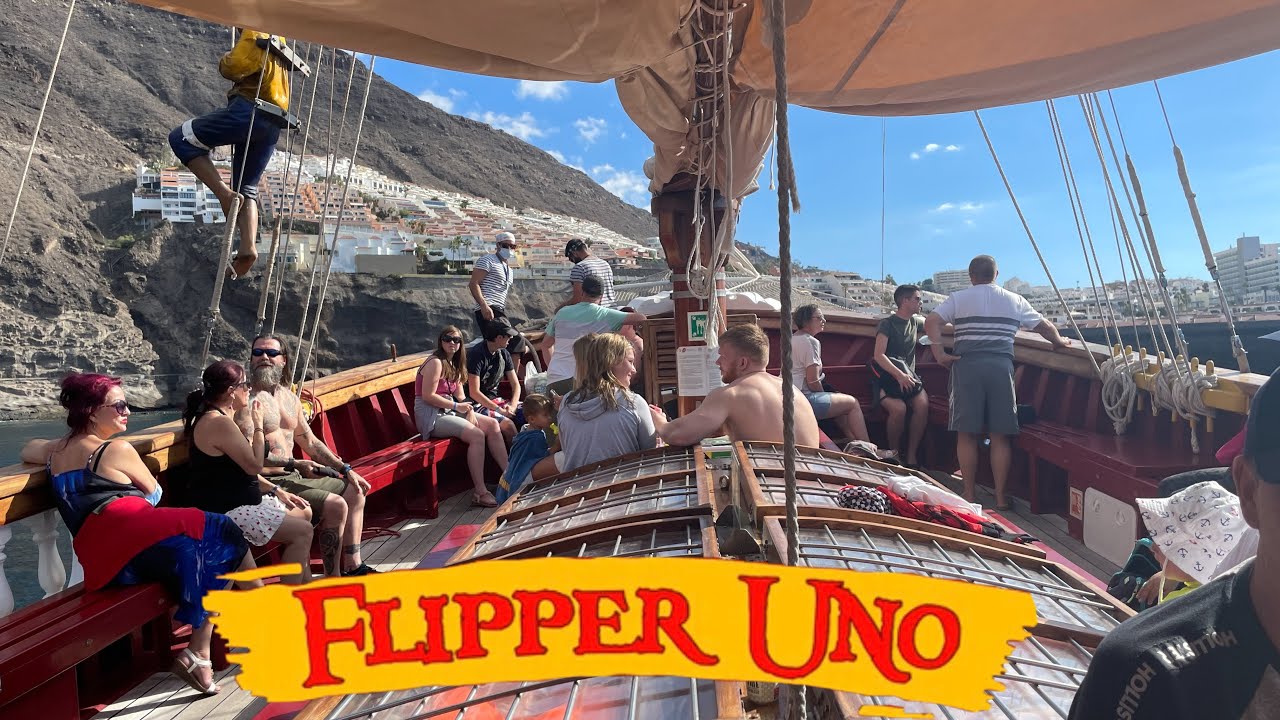 FLIPPER UNO LOS GIGANTES TENERIFE | WHALE & DOLPHIN WATCHING EXCURSION - SPAIN