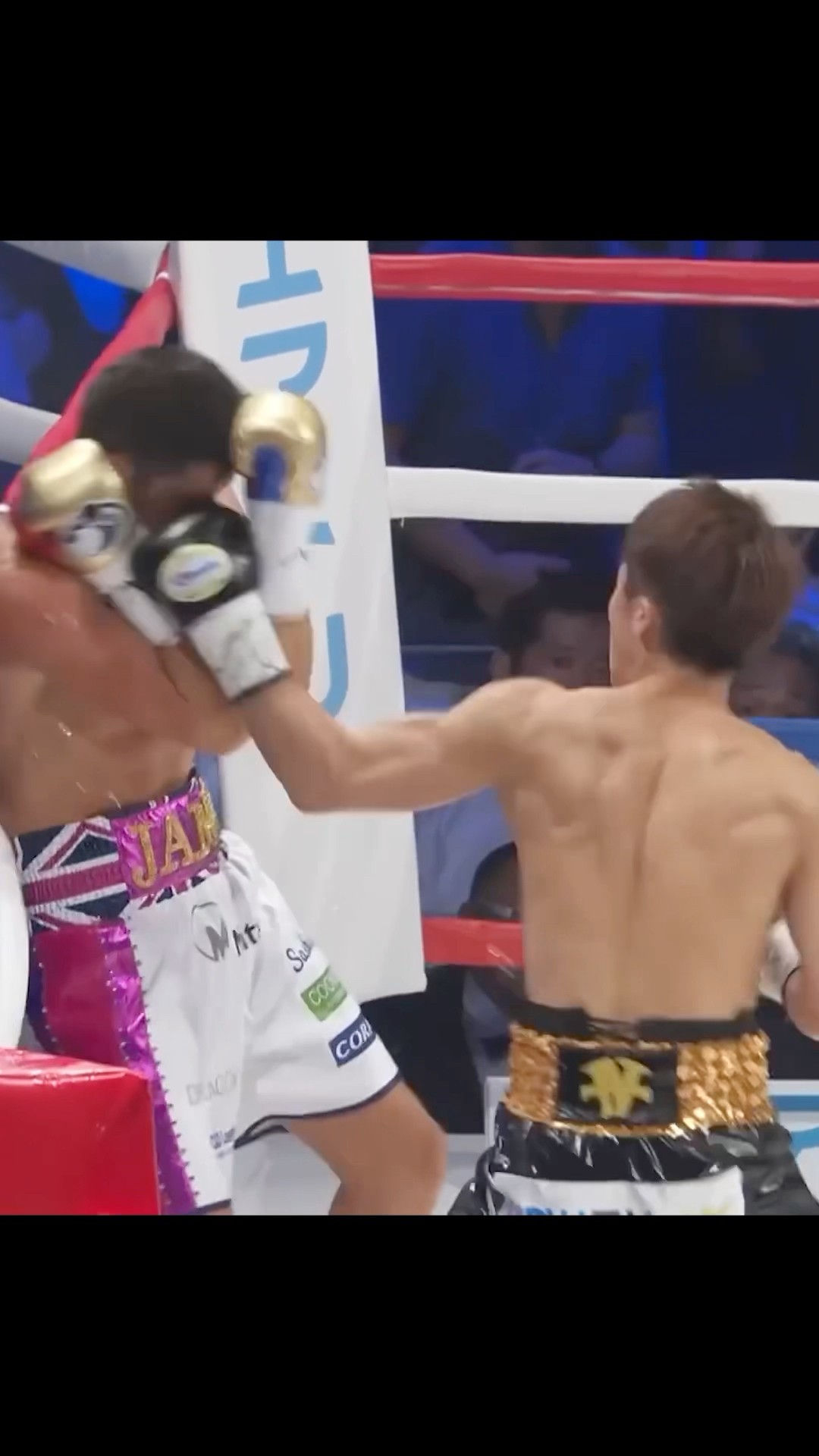 Monster: Naoya Inoue's Path of Destruction #boxing #naoya