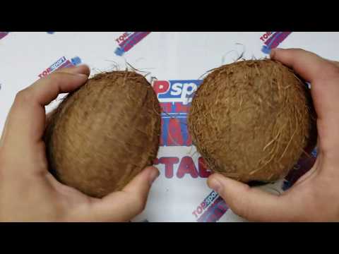 Видео: Какво е пуна кокос?