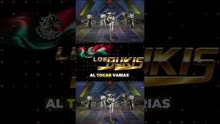 Los Pioneros de La Música Grupera