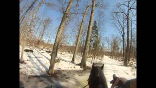 Gettysburg Battle Field Horse Ride