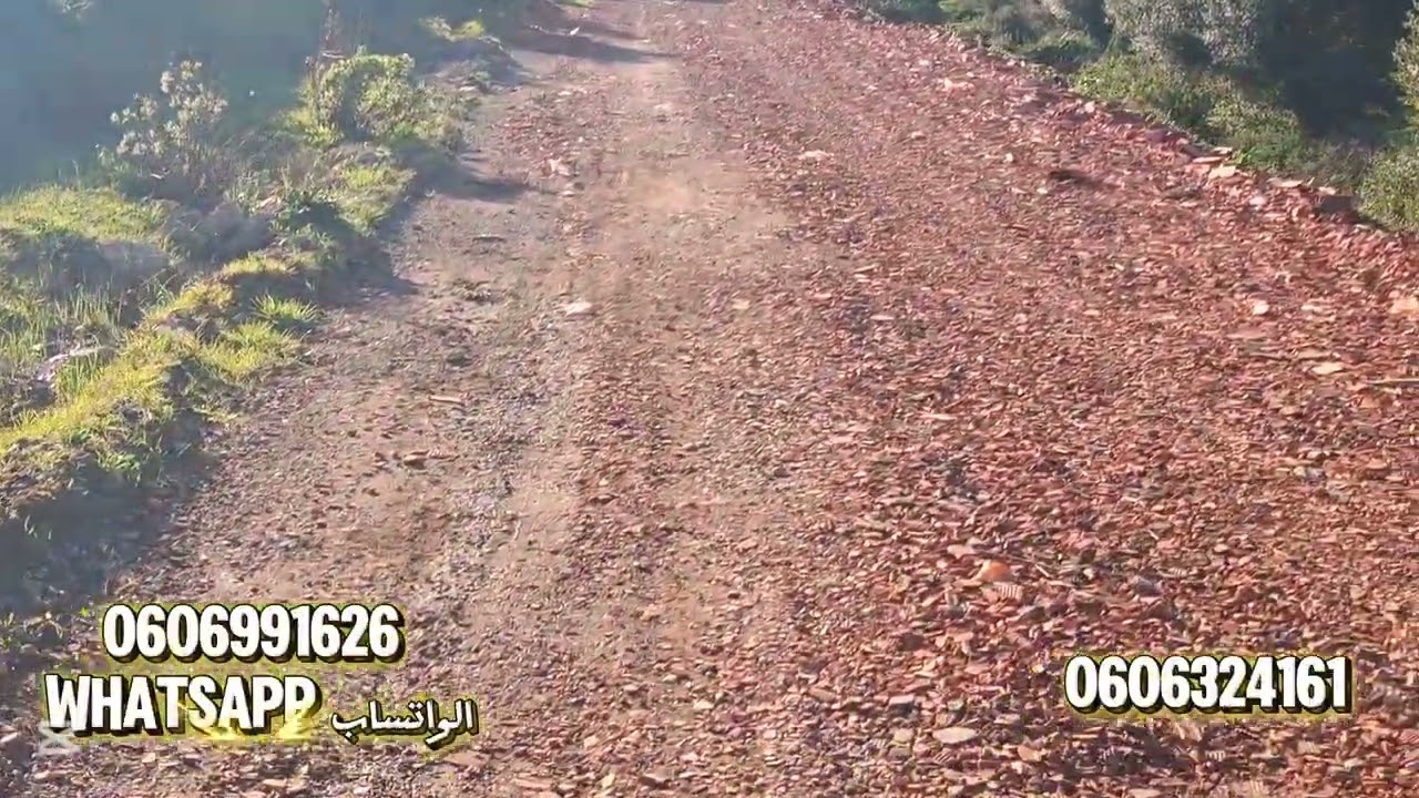 قطعة ارضيه 4200 متر محفظة جوج فرشادات واصلا الماء الضوء والطريق نواحي تطوان 