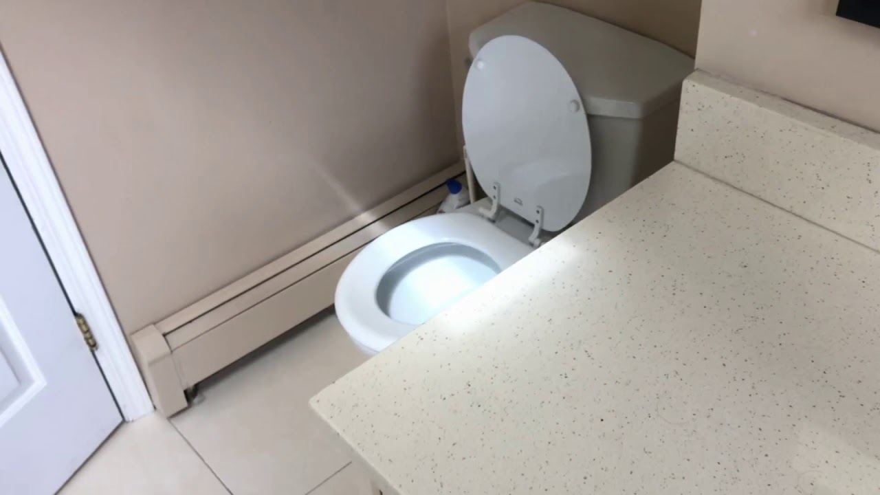 Do you lose weight when u poop? YouTube