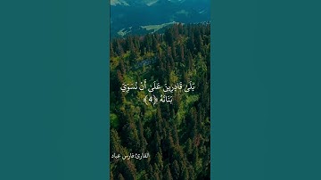 أوائل سورة القيامة بصوت عذب.