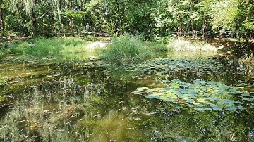 Park pond wanted to replace the pipes instead of clearing the blocked drain