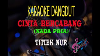 Karaoke Cinta Bercabang Nada Pria - Titiek Nur (Karaoke Dangdut Tanpa Vocal)