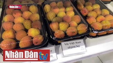 Vải thiều Tân Yên tại Nhật Bản tiêu thụ gần hết trong ngày đầu tiên