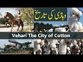 The city of cotton  history of vehari  district vehari
