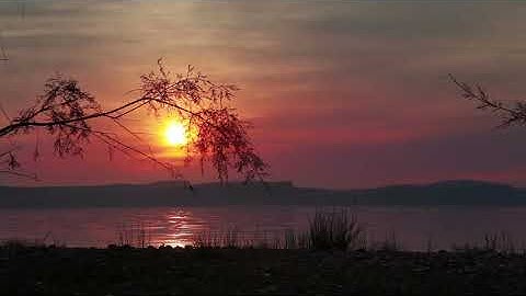 The Light Within by Peter Sterling. Healing angelic harp music to nourish body, mind and spirit