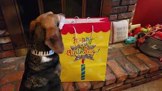 Hey Buddy, What's In The Bag? Episode 2 - It's My Gotcha Day!