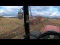 Farmers Harvesting Crops in the Mud