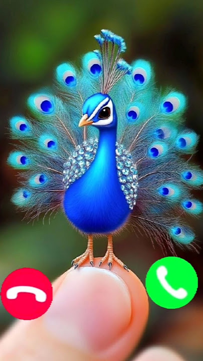 #ringtone #smartphone #ringtones #music