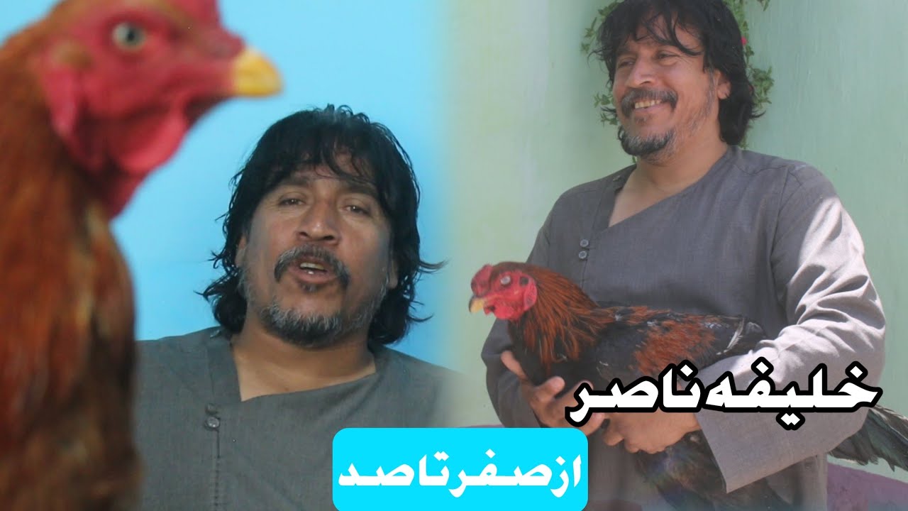 بهترین مرغ کلنگی را کدام کشور دارد/ معلومات خلیفه ناصر در مورد کلنگی و شیوه نگهداری از مرغ کلنگی