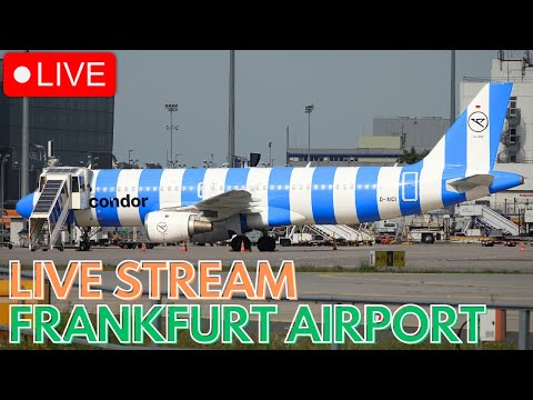🔴 Live Frankfurt Airport - 747s + A340s in 4K